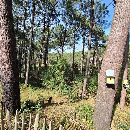 Domaine Du Golf Avec Piscine Appartement