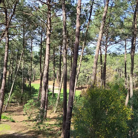 Appartement Domaine Du Golf Avec Piscine Lacanau