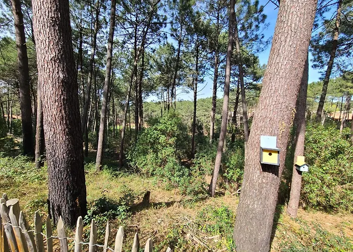 Domaine Du Golf Avec Piscine Apartman