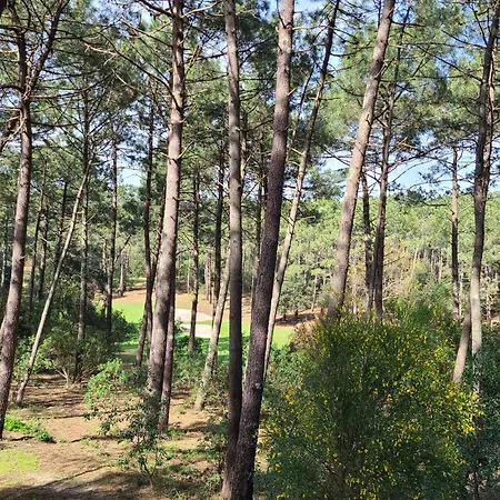 Apartamento Domaine Du Golf Avec Piscine Lacanau